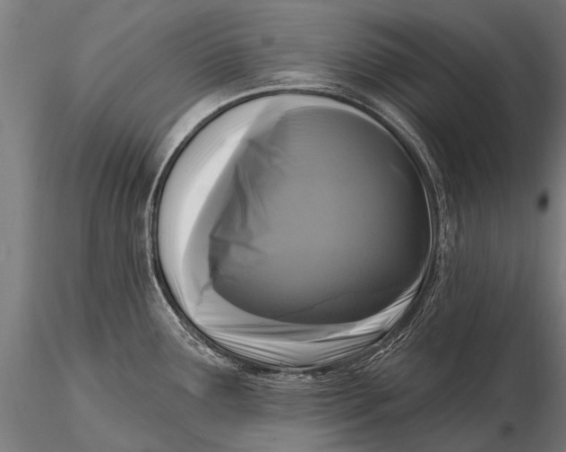 X0000115671291200912031347