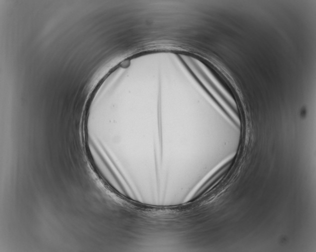 X0000115671293200912031347