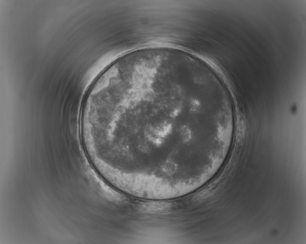 X0000115671294200912031347