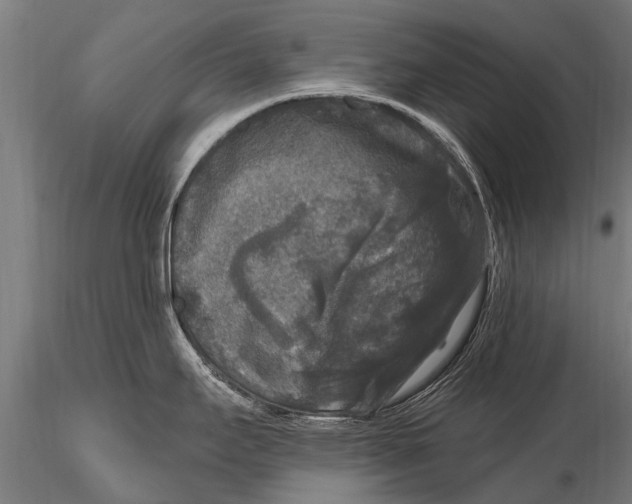 X0000115671295200912031347