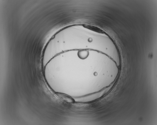 X0000115671296200912031347