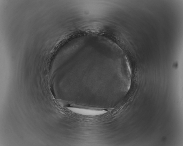 X0000115671297200912031346