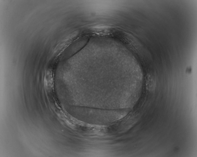 X0000115671298200912031346