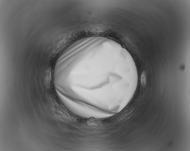 X0000115671299200912031346