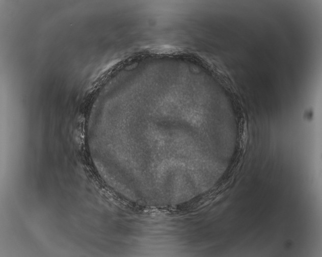 X0000115671301200912031346