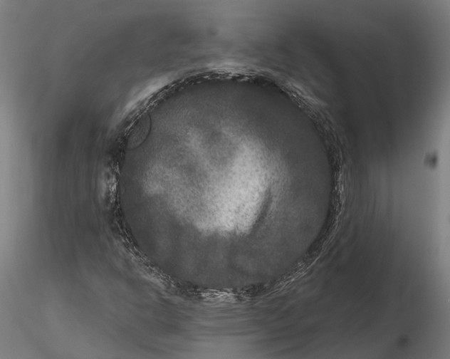 X0000115671302200912031346