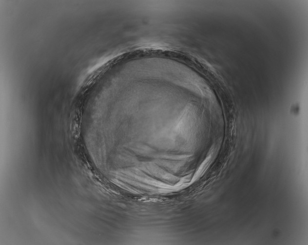 X0000115671303200912031346