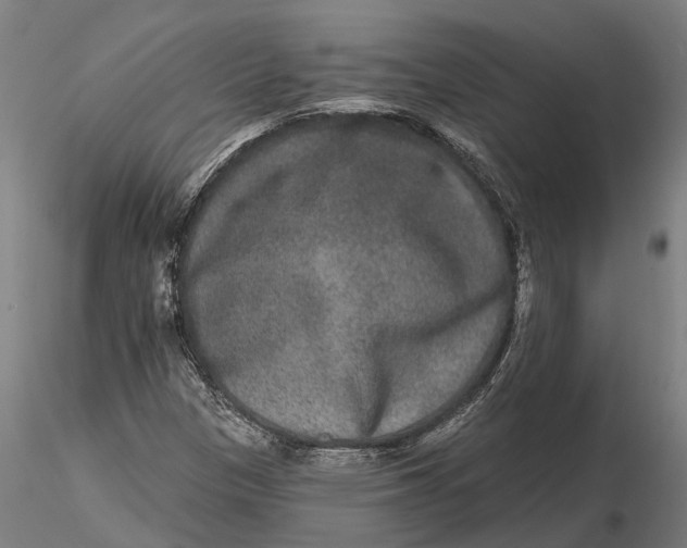 X0000115671305200912031346