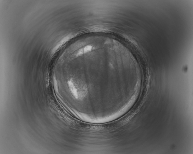 X0000115671306200912031346