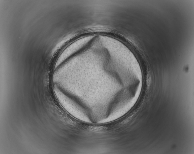 X0000115671309200912031346