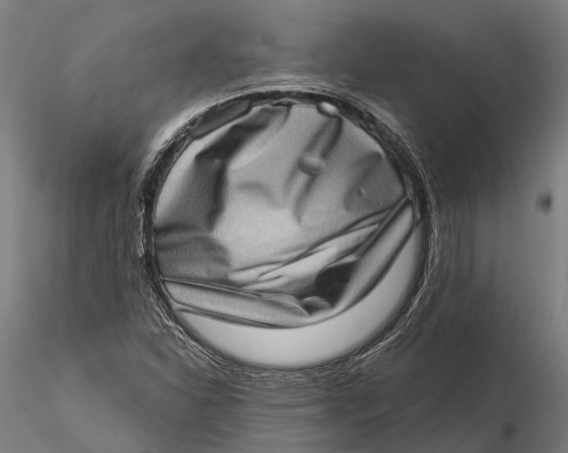 X0000115671310200912031346