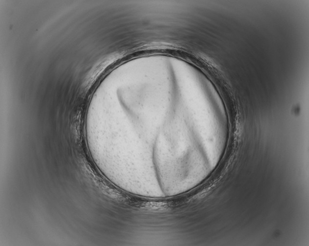 X0000115671313200912031346