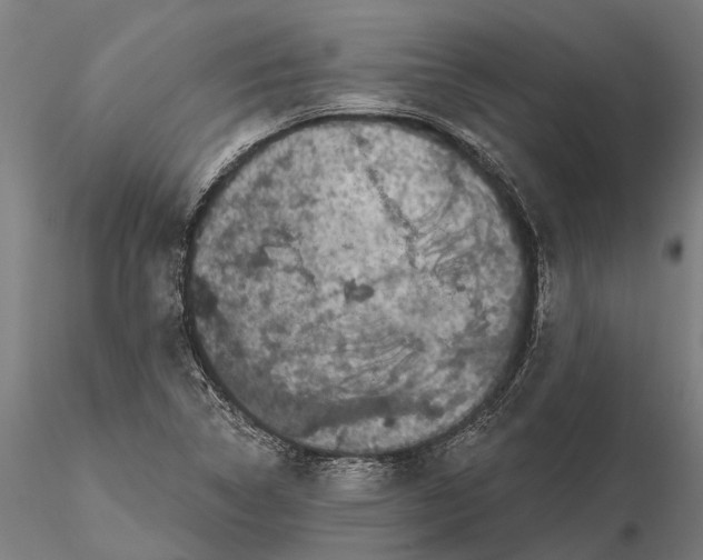 X0000115671314200912031346