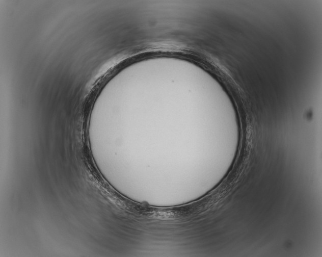 X0000115671315200912031346