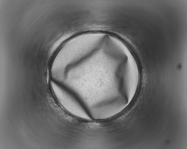 X0000115671317200912031346