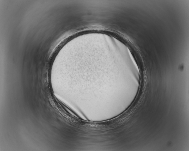 X0000115671318200912031346