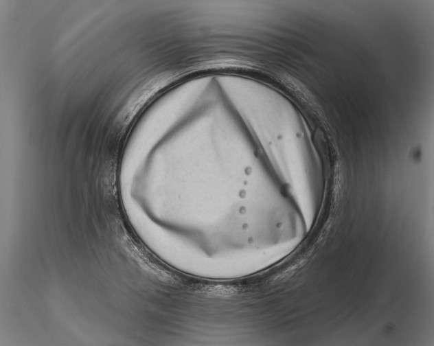 X0000115671321200912031346