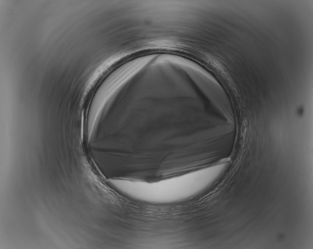 X0000115671323200912031346