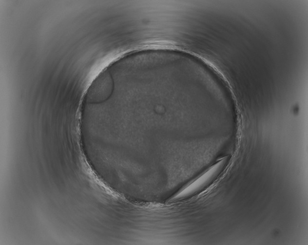 X0000115671325200912031346