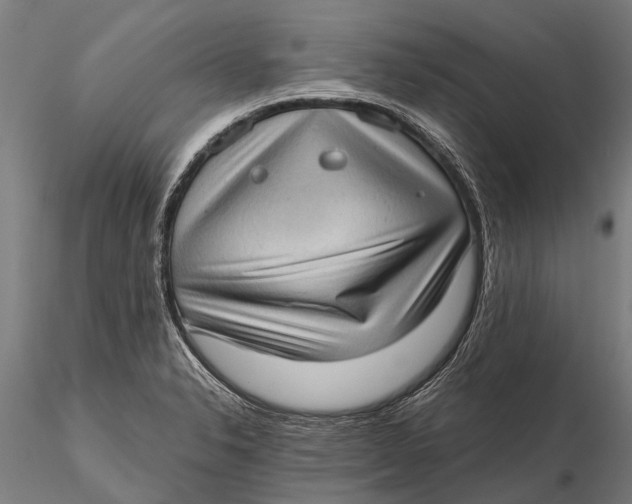 X0000115671326200912031346