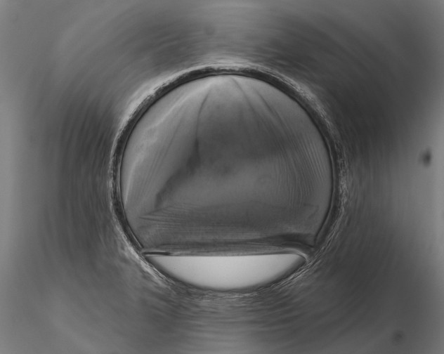 X0000115671327200912031346