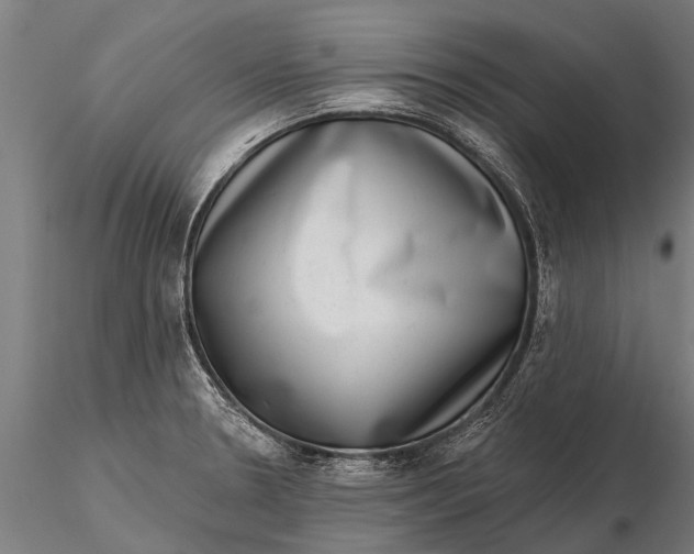 X0000115671330200912031346