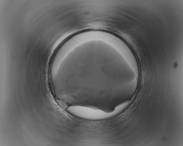 X0000115671331200912031346