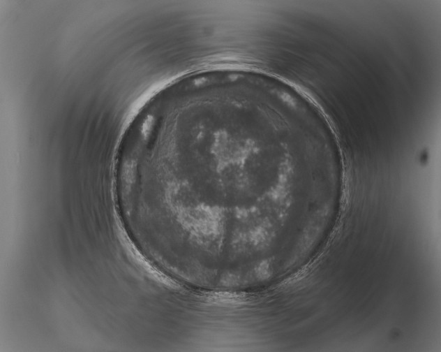 X0000115671333200912031347