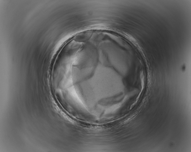 X0000115671334200912031347