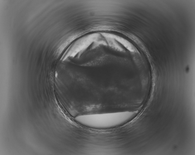 X0000115671337200912031347