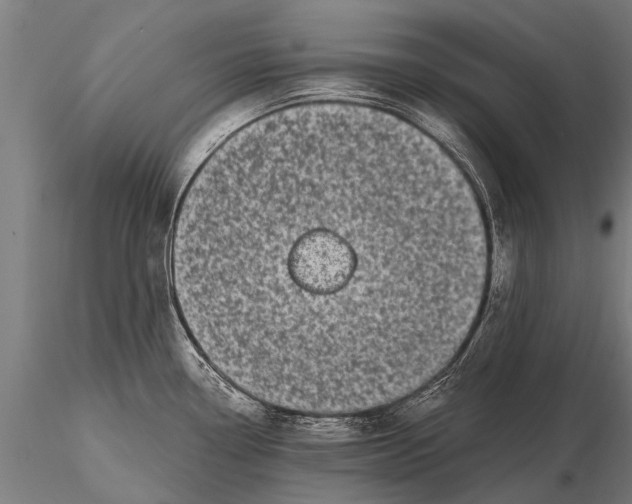 X0000115671338200912031347