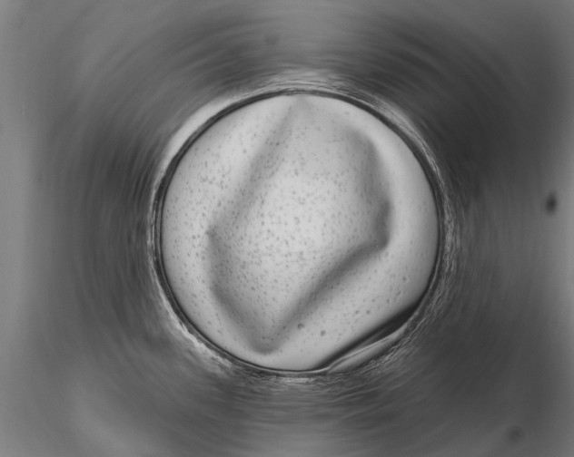 X0000115671339200912031347