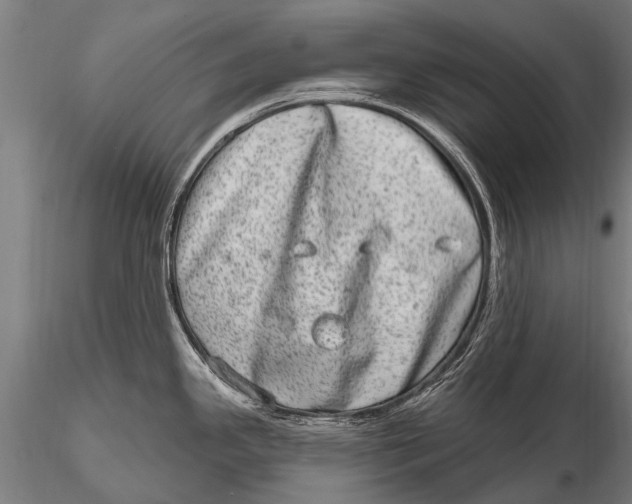 X0000115671341200912031347