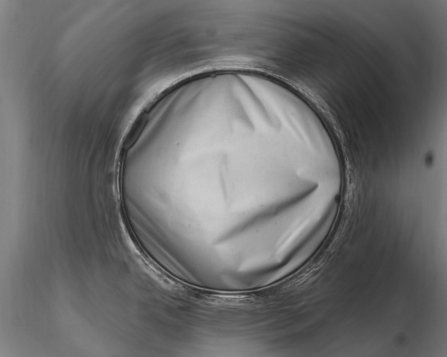 X0000115671342200912031347