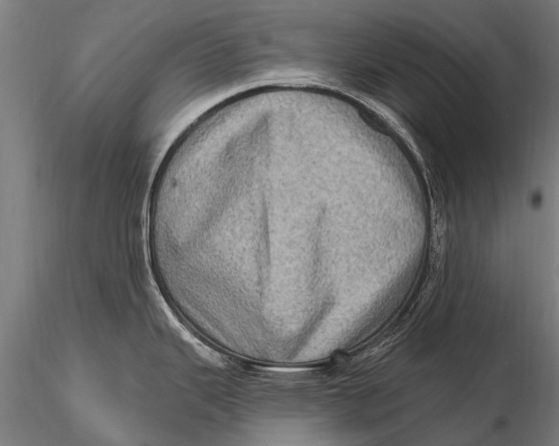 X0000115671343200912031347