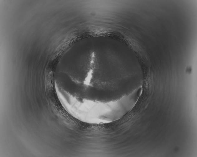 X0000115671346200912031346