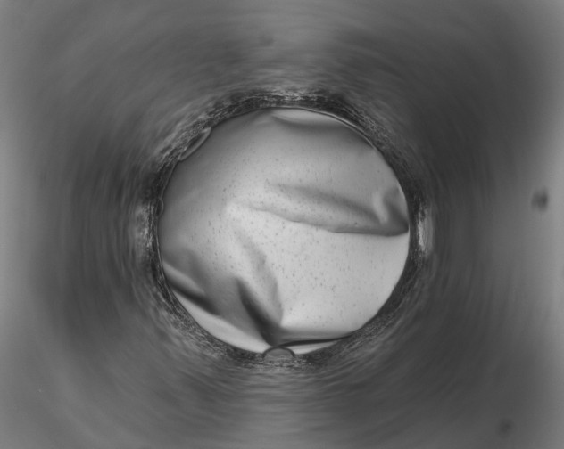 X0000115671347200912031346