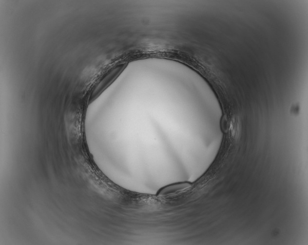 X0000115671348200912031346