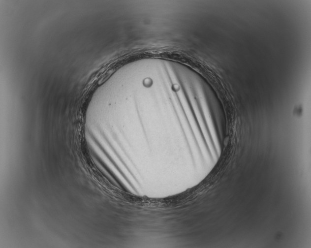 X0000115671349200912031346