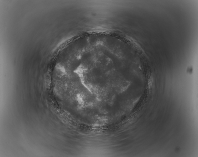 X0000115671350200912031346