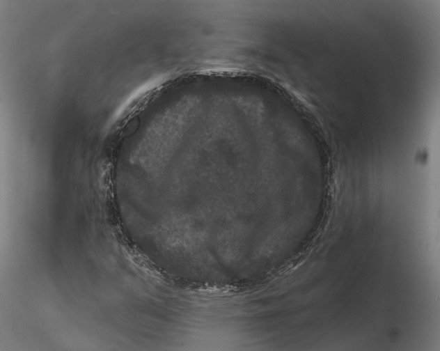 X0000115671351200912031346