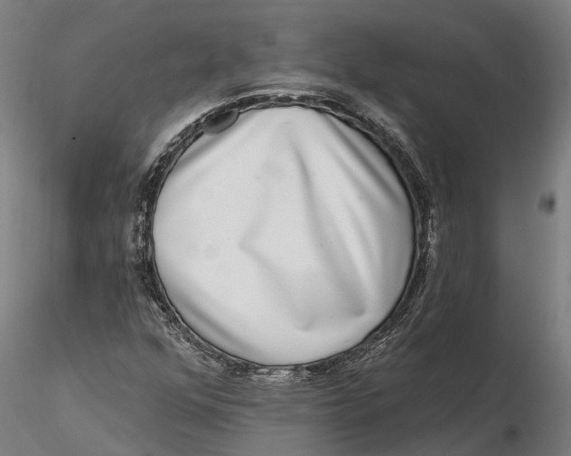 X0000115671352200912031346