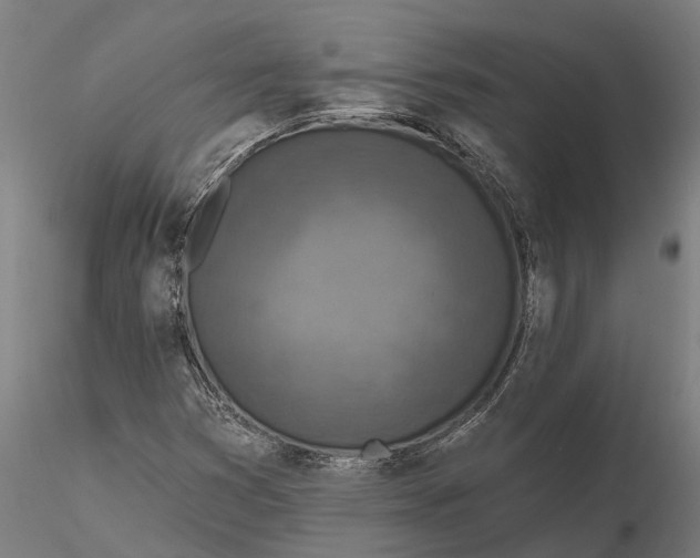 X0000115671353200912031346