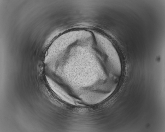 X0000115671355200912031346