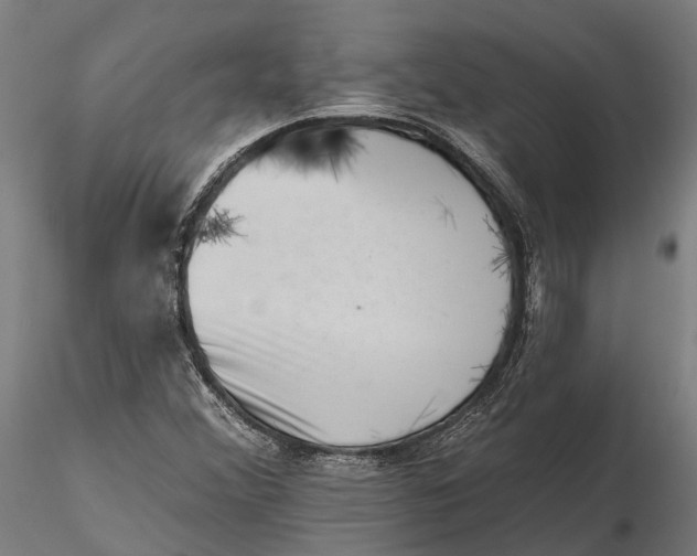 X0000115671356200912031346