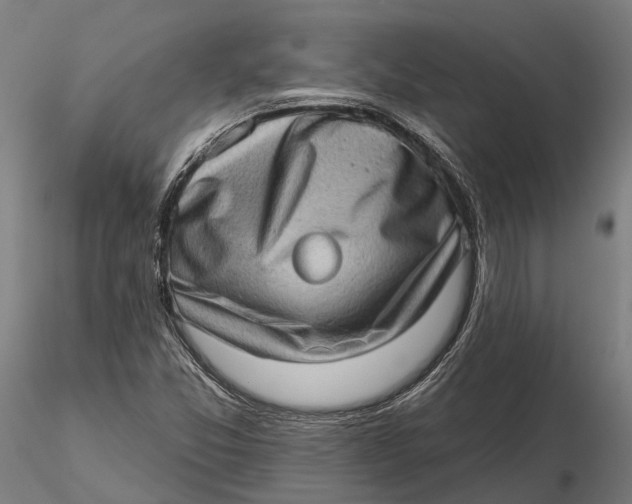 X0000115671357200912031346