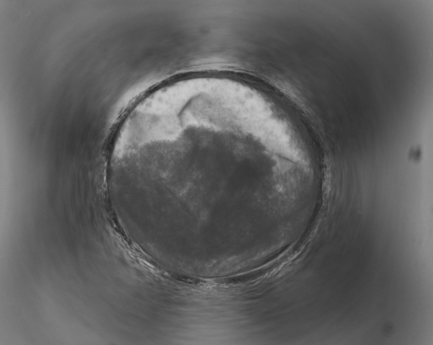 X0000115671358200912031346