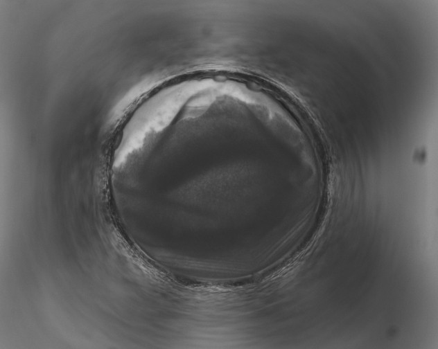 X0000115671359200912031346