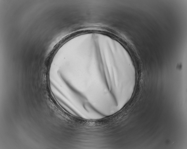 X0000115671360200912031346