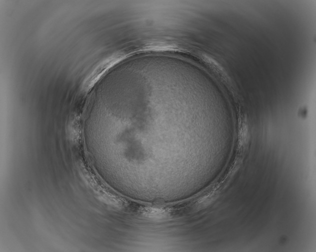 X0000115671361200912031346